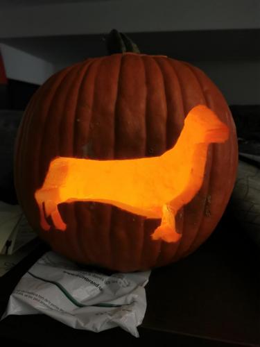 Happy Halloweenie. "Wiener dog o' lantern"